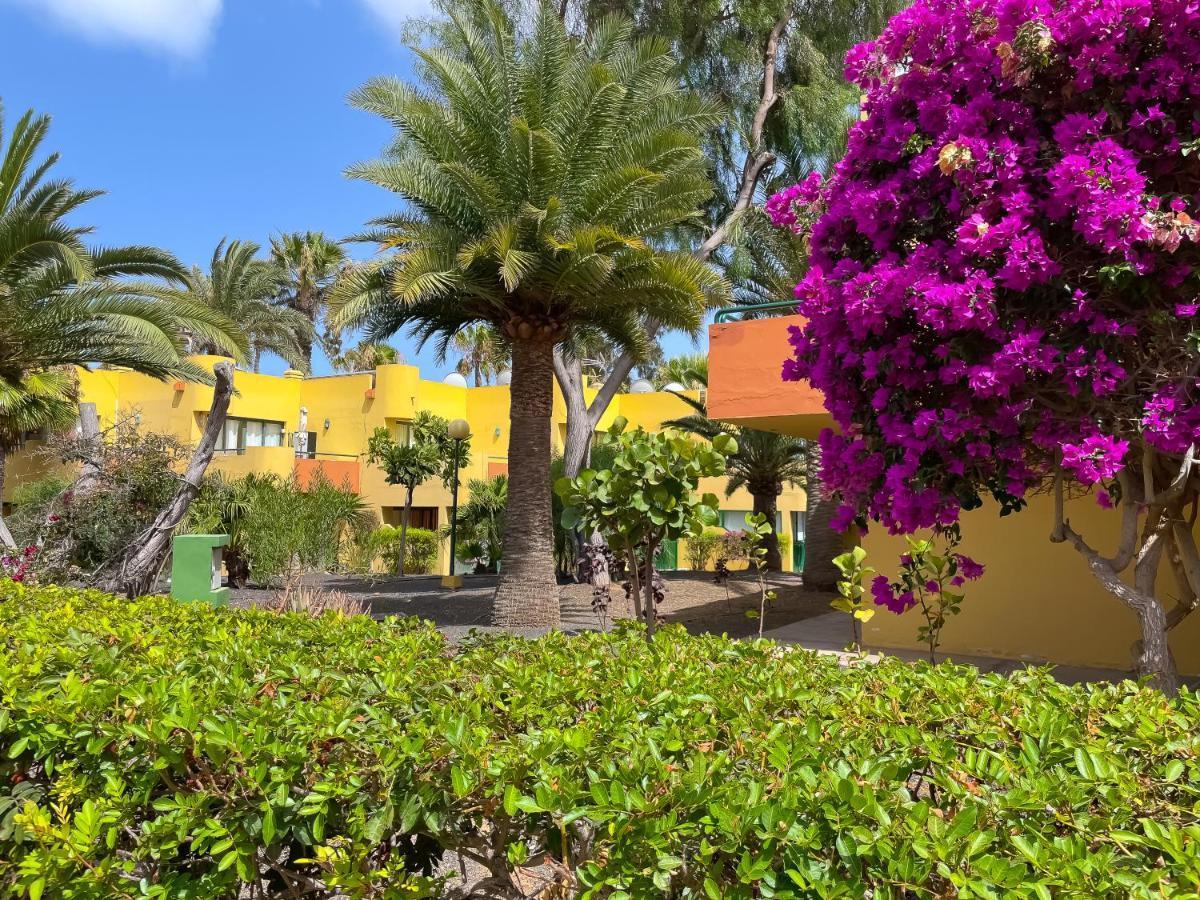 Casa Bella By Best Holidays Fuerteventura คอร์ราเลโฮ ภายนอก รูปภาพ